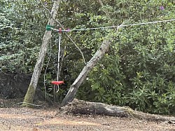 Bush-craft