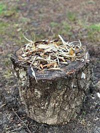 Bush craft skills